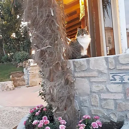 Perla