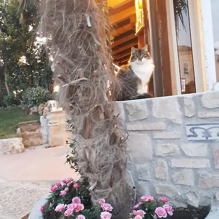 Perla Bed and Breakfast 3*